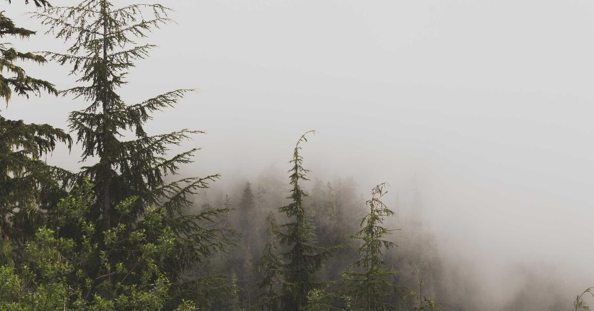 AI 重大突破 2026